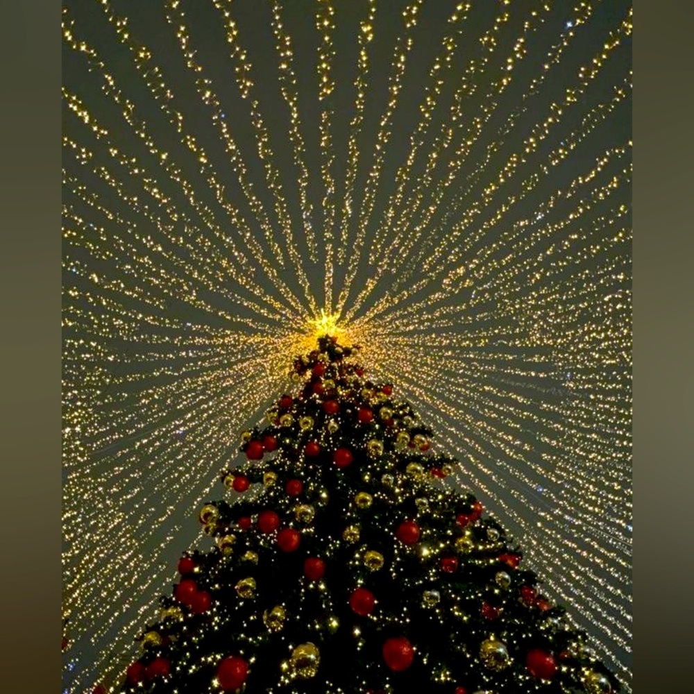 🎄Christmas shopping 🎄